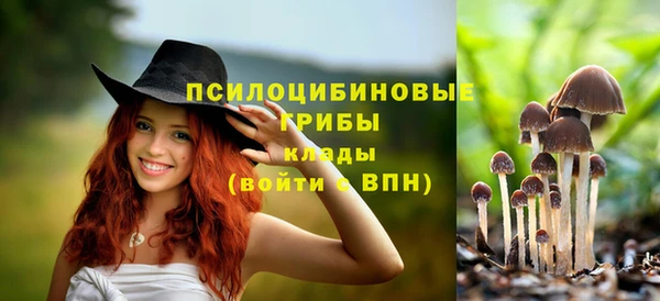 шишки Алексеевка