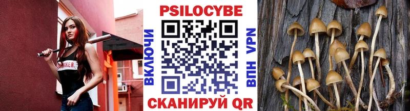 Псилоцибиновые грибы GOLDEN TEACHER Йошкар-Ола